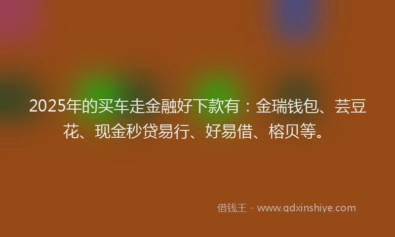 2025年的买车走金融好下款有：金瑞钱包、芸豆花、现金秒贷易行、好易借、榕贝等。