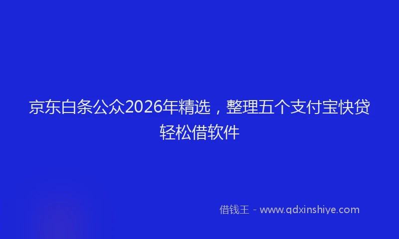 京东白条公众2026年精选，整理五个支付宝快贷轻松借软件