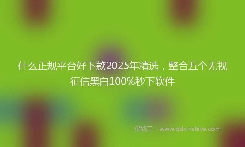 什么正规平台好下款2025年精选，整合五个无视征信黑白100%秒下软件