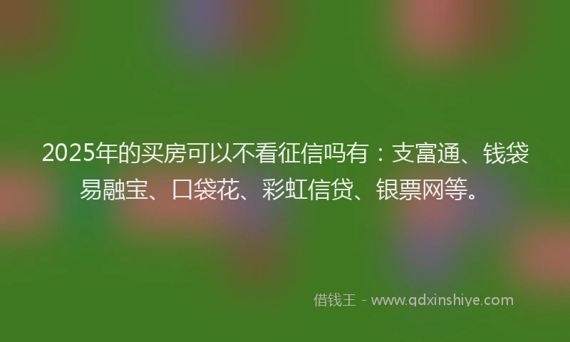 2025年的买房可以不看征信吗有：支富通、钱袋易融宝、口袋花、彩虹信贷、银票网等。