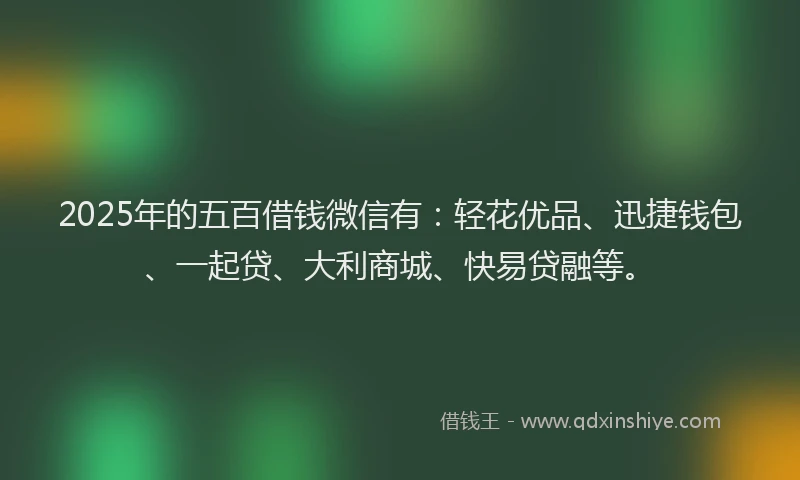 2025年的五百借钱微信有:轻花优品、迅捷钱包、一起贷、大利商城、快易贷融等。