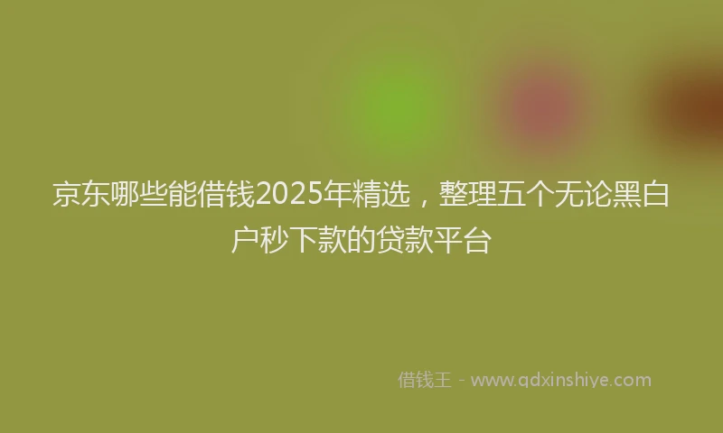 京东哪些能借钱2025年精选，整理五个无论黑白户秒下款的贷款平台