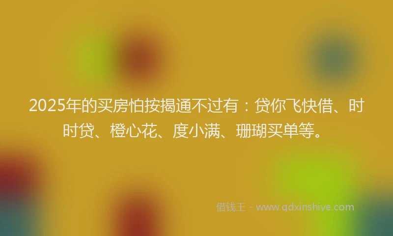2025年的买房怕按揭通不过有:贷你飞快借、时时贷、橙心花、度小满、珊瑚买单等。