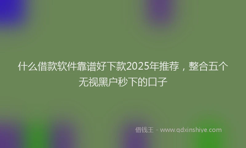 什么借款软件靠谱好下款2025年推荐，整合五个无视黑户秒下的口子