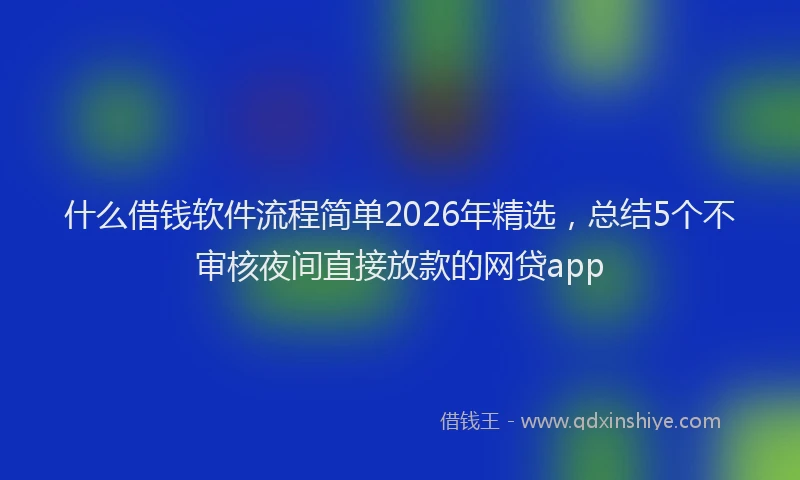 什么借钱软件流程简单2026年精选，总结5个不审核夜间直接放款的网贷app