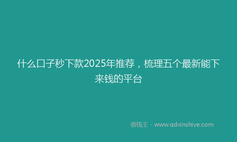 什么口子秒下款2025年推荐,梳理五个最新能下来钱的平台