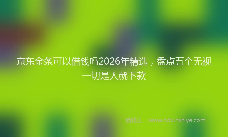 京东金条可以借钱吗2026年精选，盘点五个无视一切是人就下款