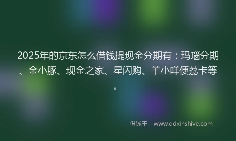 2025年的京东怎么借钱提现金分期有：玛瑙分期、金小豚、现金之家、星闪购、羊小咩便荔卡等。