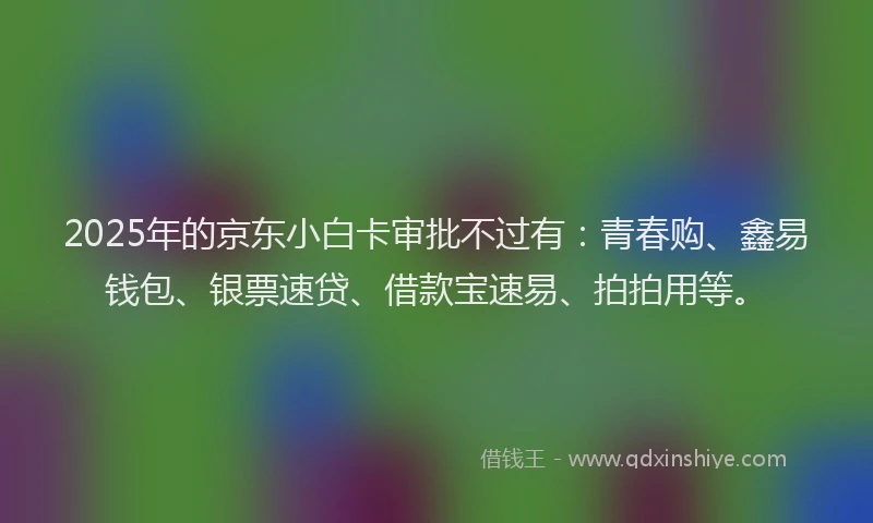 2025年的京东小白卡审批不过有：青春购、鑫易钱包、银票速贷、借款宝速易、拍拍用等。