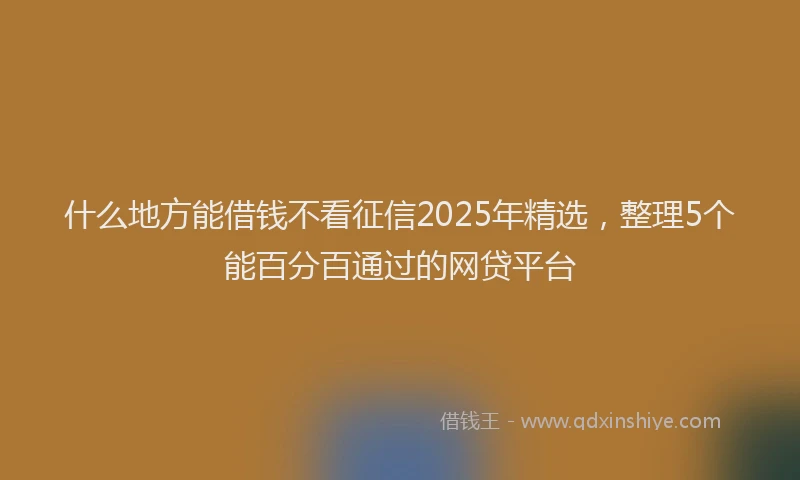 什么地方能借钱不看征信2025年精选,整理5个能百分百通过的网贷平台