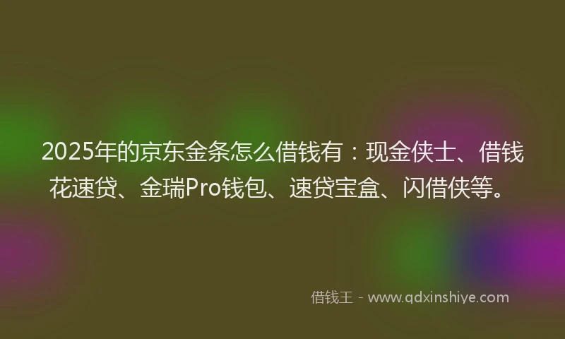 2025年的京东金条怎么借钱有：现金侠士、借钱花速贷、金瑞Pro钱包、速贷宝盒、闪借侠等。
