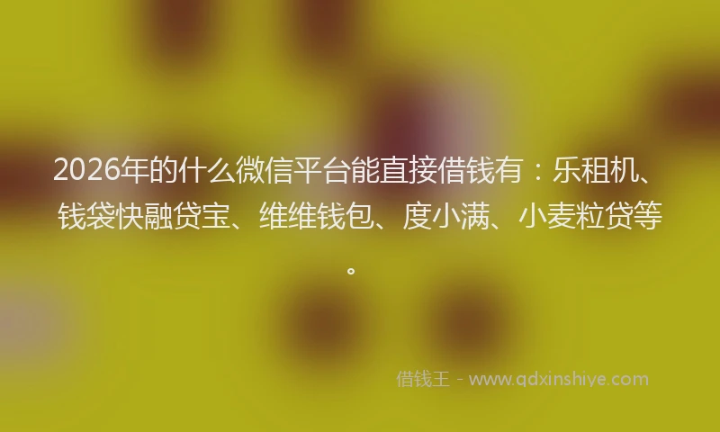 2026年的什么微信平台能直接借钱有:乐租机、钱袋快融贷宝、维维钱包、度小满、小麦粒贷等。