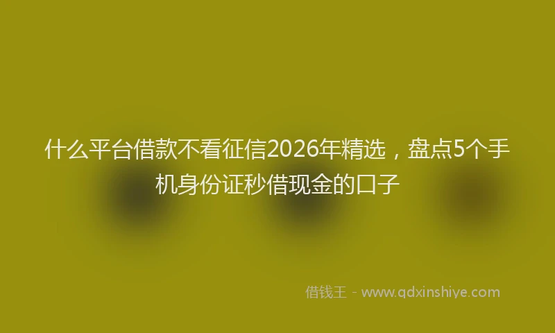 什么平台借款不看征信2026年精选,盘点5个手机身份证秒借现金的口子