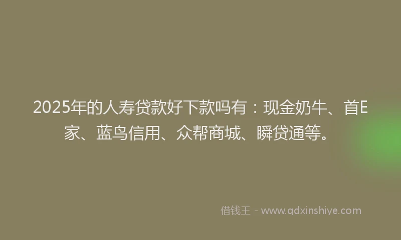 2025年的人寿贷款好下款吗有：现金奶牛、首E家、蓝鸟信用、众帮商城、瞬贷通等。