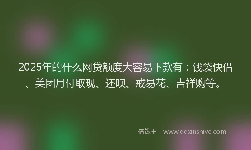 2025年的什么网贷额度大容易下款有：钱袋快借、美团月付取现、还呗、戒易花、吉祥购等。