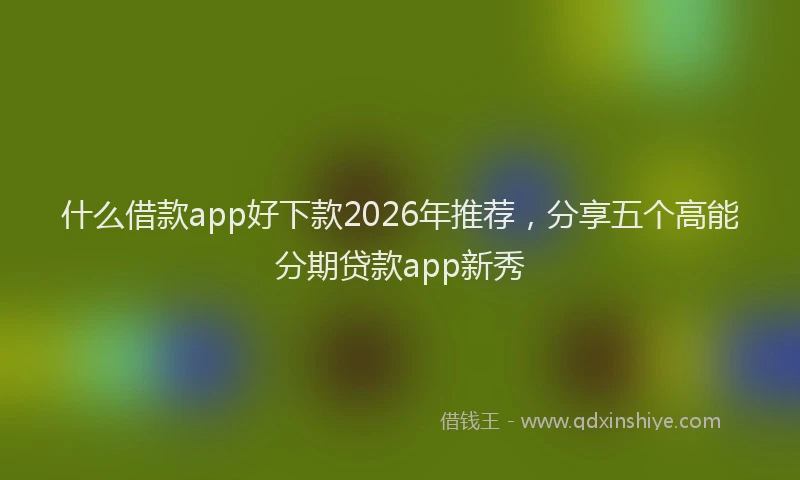 什么借款app好下款2026年推荐，分享五个高能分期贷款app新秀