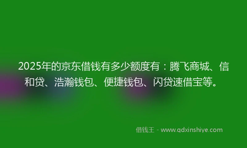 2025年的京东借钱有多少额度有：腾飞商城、信和贷、浩瀚钱包、便捷钱包、闪贷速借宝等。