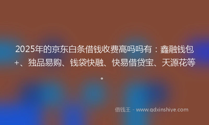 2025年的京东白条借钱收费高吗吗有:鑫融钱包+、独品易购、钱袋快融、快易借贷宝、天源花等。