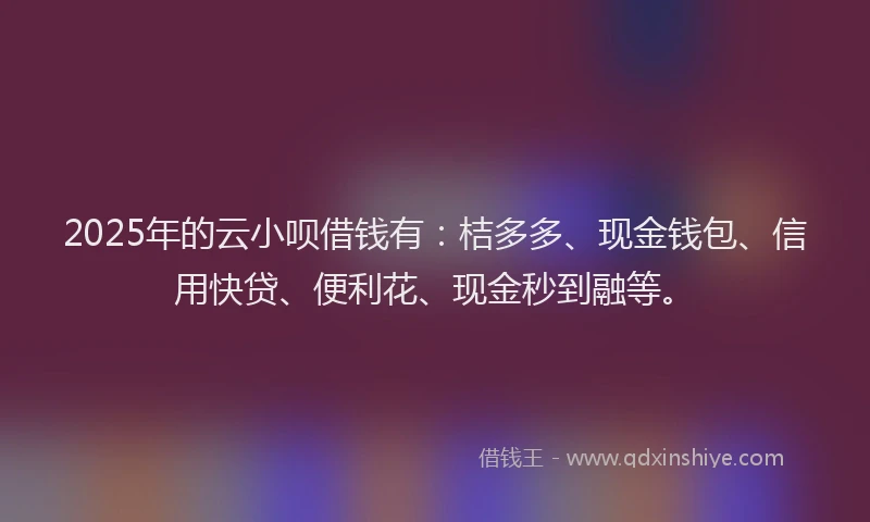 2025年的云小呗借钱有：桔多多、现金钱包、信用快贷、便利花、现金秒到融等。