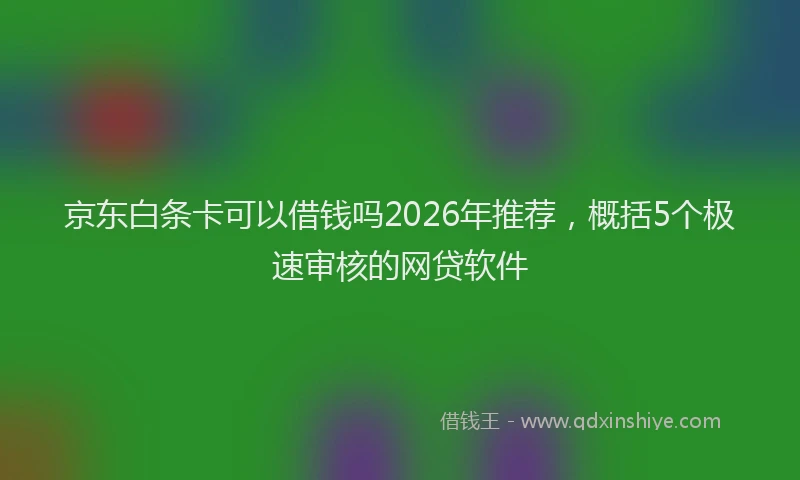京东白条卡可以借钱吗2026年推荐，概括5个极速审核的网贷软件