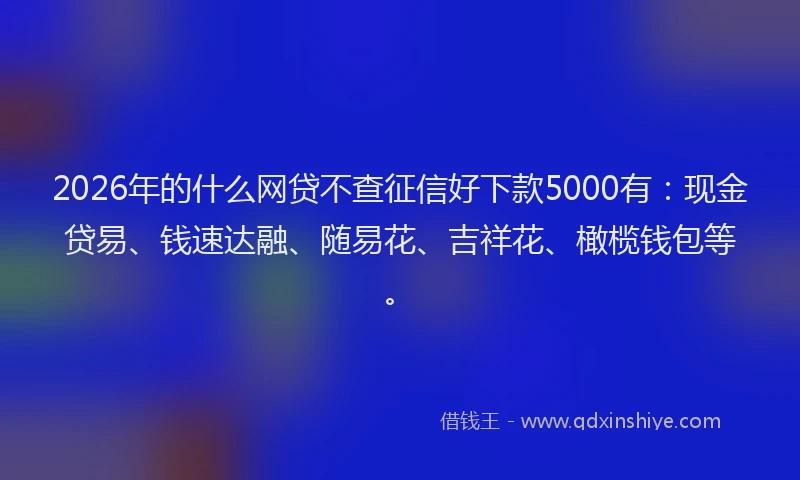 2026年的什么网贷不查征信好下款5000有：现金贷易、钱速达融、随易花、吉祥花、橄榄钱包等。