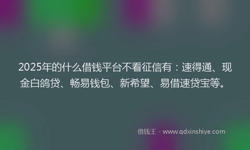 2025年的什么借钱平台不看征信有：速得通、现金白鸽贷、畅易钱包、新希望、易借速贷宝等。