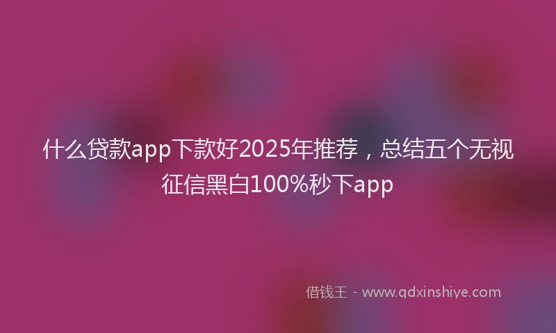 什么贷款app下款好2025年推荐，总结五个无视征信黑白100%秒下app
