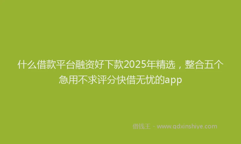 什么借款平台融资好下款2025年精选，整合五个急用不求评分快借无忧的app