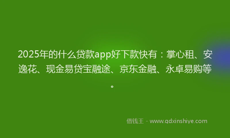 2025年的什么贷款app好下款快有：掌心租、安逸花、现金易贷宝融途、京东金融、永卓易购等。
