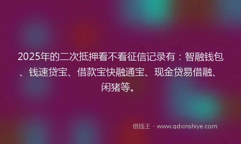 2025年的二次抵押看不看征信记录有：智融钱包、钱速贷宝、借款宝快融通宝、现金贷易借融、闲猪等。