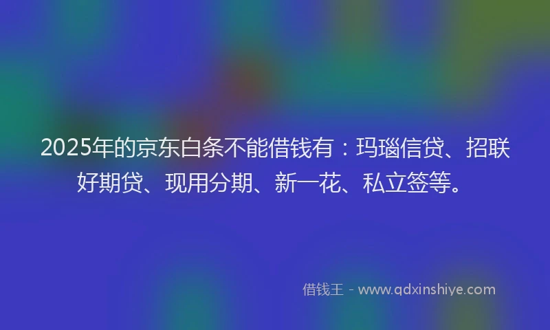 2025年的京东白条不能借钱有:玛瑙信贷、招联好期贷、现用分期、新一花、私立签等。