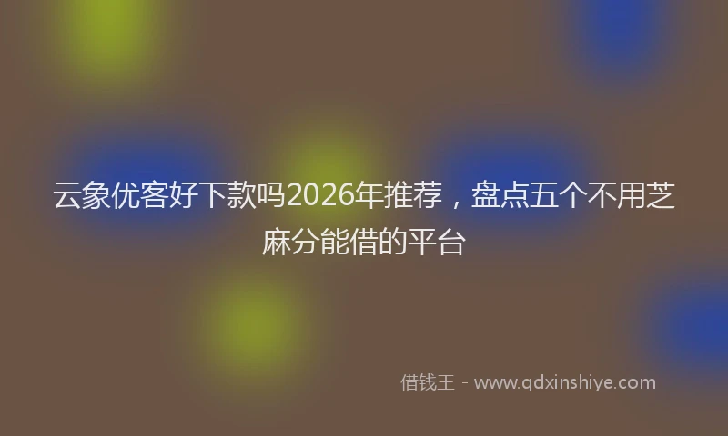 云象优客好下款吗2026年推荐，盘点五个不用芝麻分能借的平台