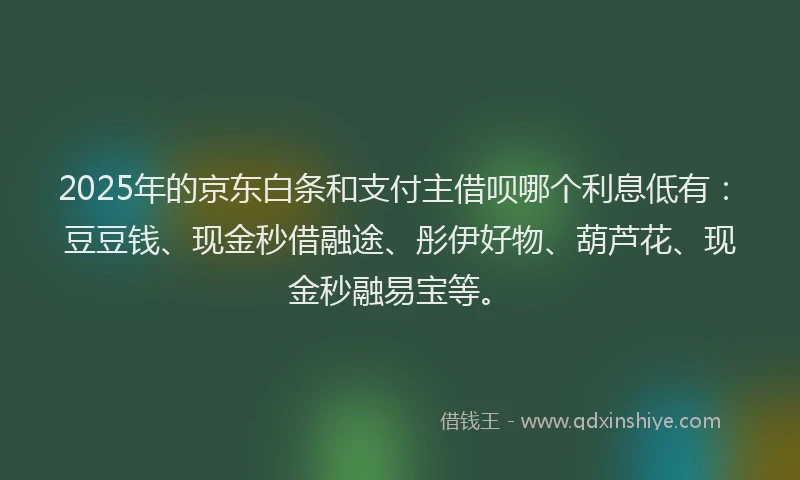2025年的京东白条和支付主借呗哪个利息低有：豆豆钱、现金秒借融途、彤伊好物、葫芦花、现金秒融易宝等。