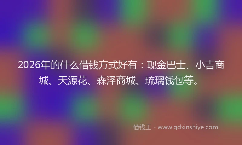 2026年的什么借钱方式好有：现金巴士、小吉商城、天源花、森泽商城、琉璃钱包等。