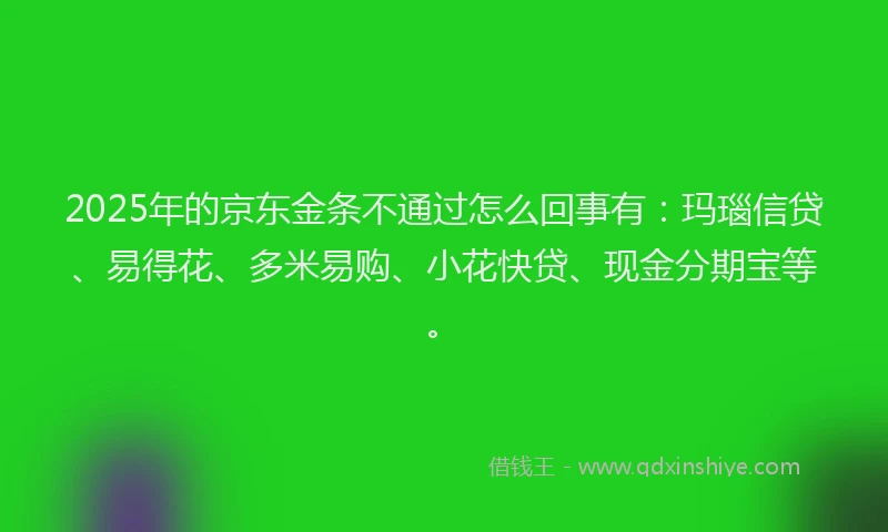 2025年的京东金条不通过怎么回事有：玛瑙信贷、易得花、多米易购、小花快贷、现金分期宝等。