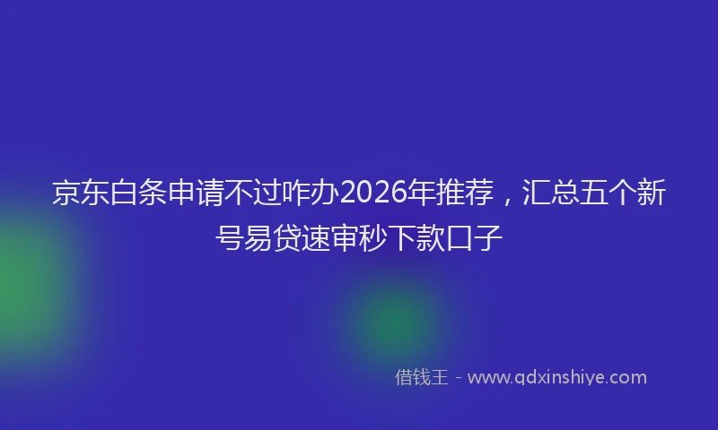 京东白条申请不过咋办2026年推荐，汇总五个新号易贷速审秒下款口子
