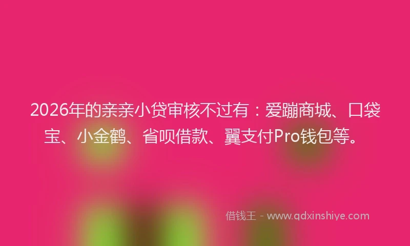 2026年的亲亲小贷审核不过有：爱蹦商城、口袋宝、小金鹤、省呗借款、翼支付Pro钱包等。