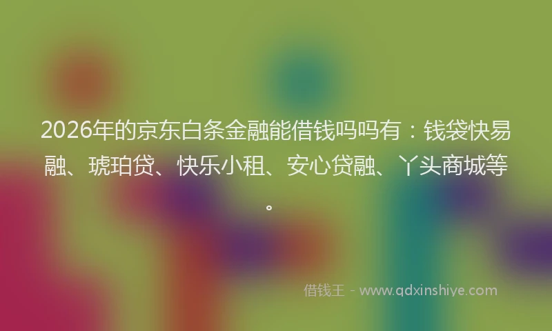 2026年的京东白条金融能借钱吗吗有:钱袋快易融、琥珀贷、快乐小租、安心贷融、丫头商城等。