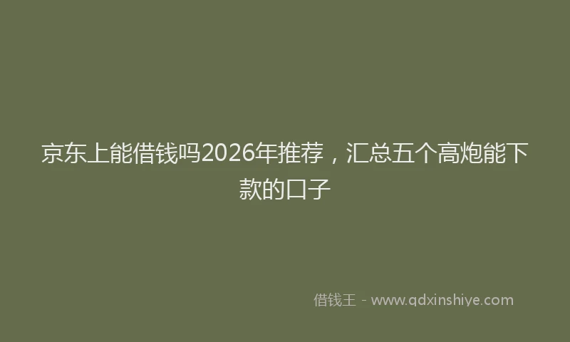 京东上能借钱吗2026年推荐，汇总五个高炮能下款的口子