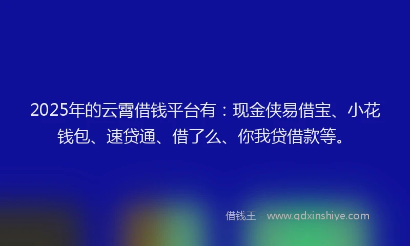 2025年的云霄借钱平台有：现金侠易借宝、小花钱包、速贷通、借了么、你我贷借款等。