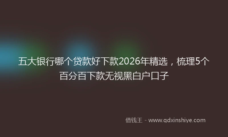 五大银行哪个贷款好下款2026年精选,梳理5个百分百下款无视黑白户口子