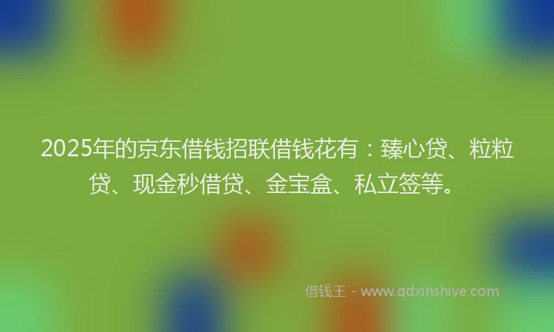 2025年的京东借钱招联借钱花有：臻心贷、粒粒贷、现金秒借贷、金宝盒、私立签等。