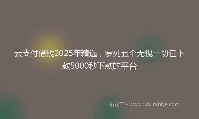 云支付借钱2025年精选，罗列五个无视一切包下款5000秒下款的平台