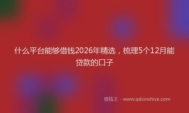 什么平台能够借钱2026年精选，梳理5个12月能贷款的口子
