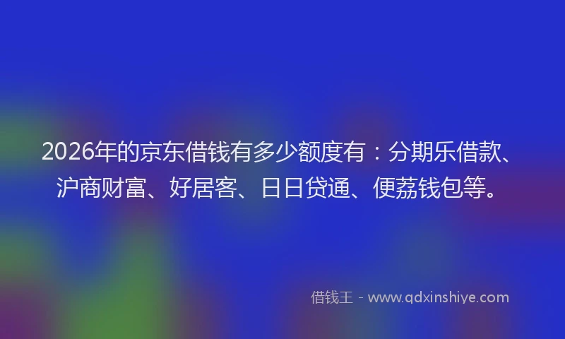 2026年的京东借钱有多少额度有：分期乐借款、沪商财富、好居客、日日贷通、便荔钱包等。
