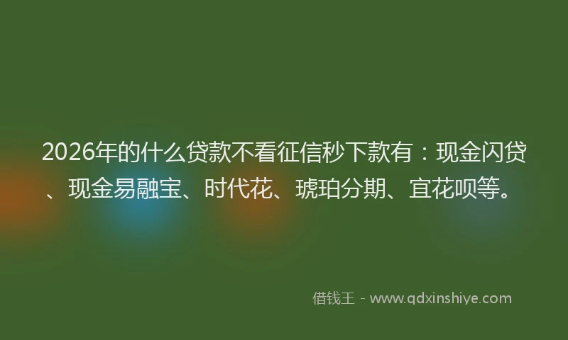 2026年的什么贷款不看征信秒下款有:现金闪贷、现金易融宝、时代花、琥珀分期、宜花呗等。