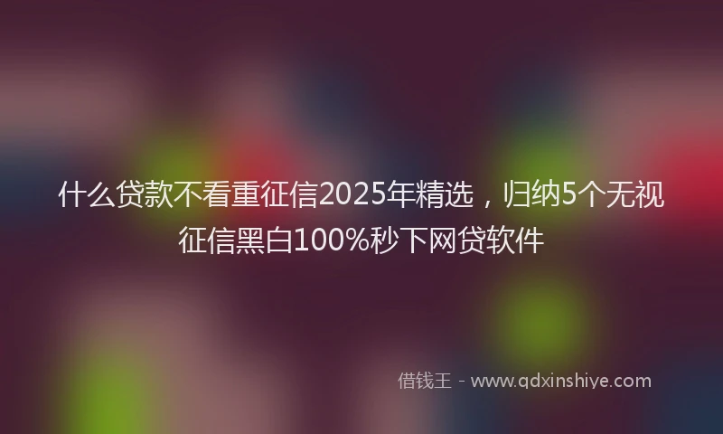 什么贷款不看重征信2025年精选,归纳5个无视征信黑白100%秒下网贷软件
