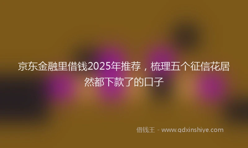 京东金融里借钱2025年推荐，梳理五个征信花居然都下款了的口子