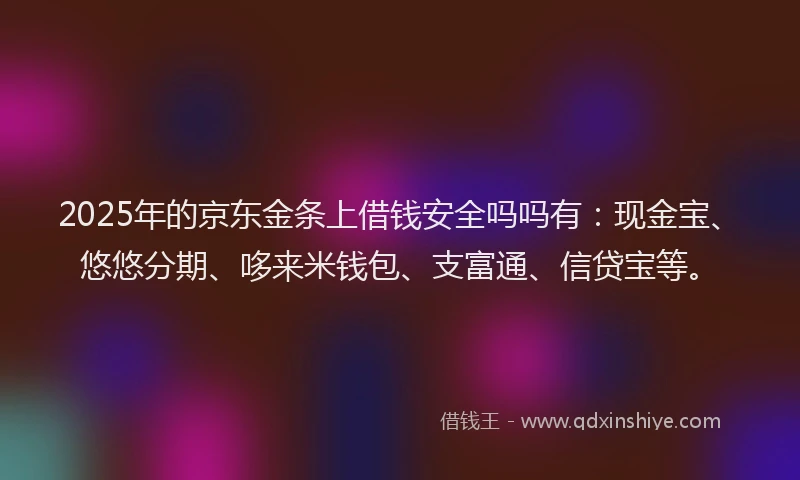 2025年的京东金条上借钱安全吗吗有：现金宝、悠悠分期、哆来米钱包、支富通、信贷宝等。