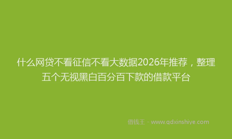 什么网贷不看征信不看大数据2026年推荐，整理五个无视黑白百分百下款的借款平台